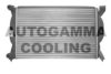 AUTOGAMMA 102980 Radiator, engine cooling